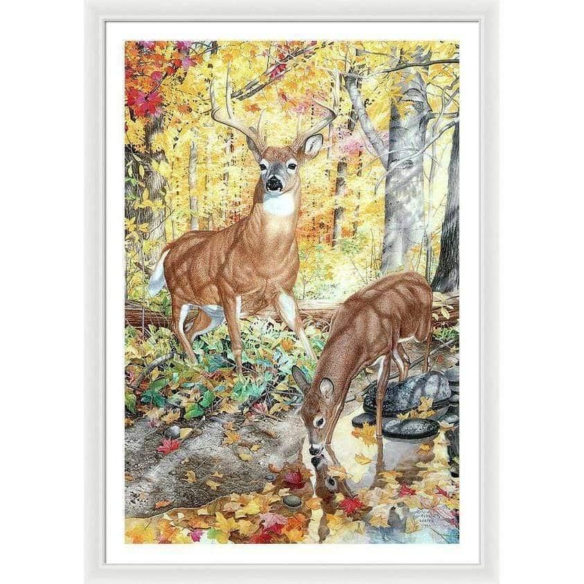 Autumn Deer - Framed Print | Artwork by Glen Loates