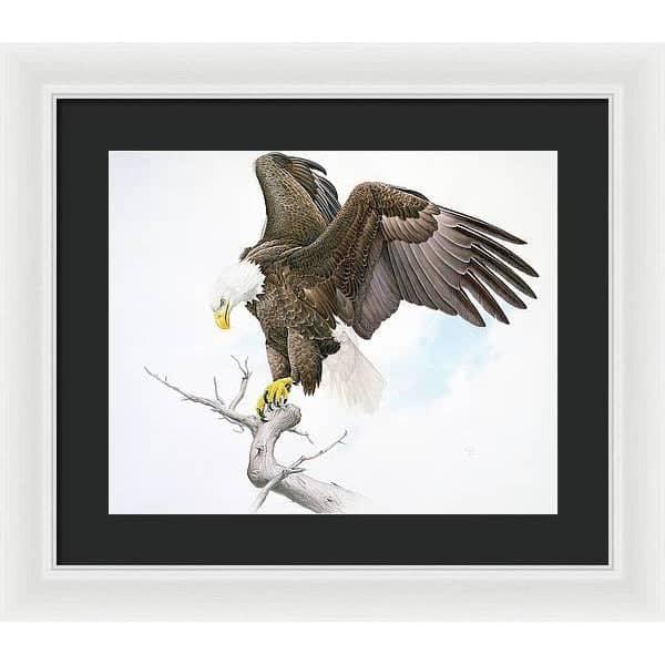 Bald Eagle - Framed Print | Artwork by Glen Loates
