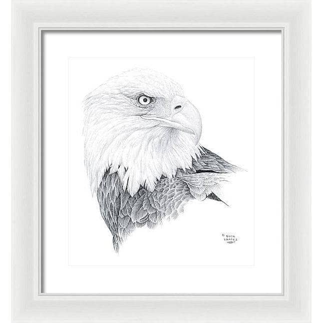 Bald Eagle Portrait - Framed Print | Artwork by Glen Loates