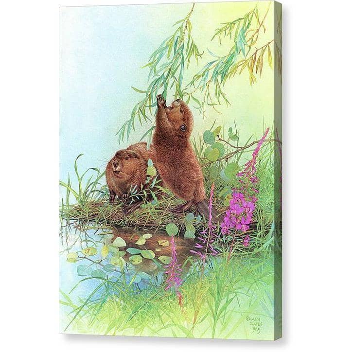 Beavers - Canvas Print | Artwork by Glen Loates