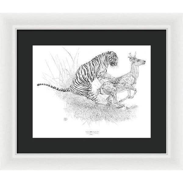 Bengal Tiger Pulling Down a Chital Deer - Framed Print | Artwork by Glen Loates