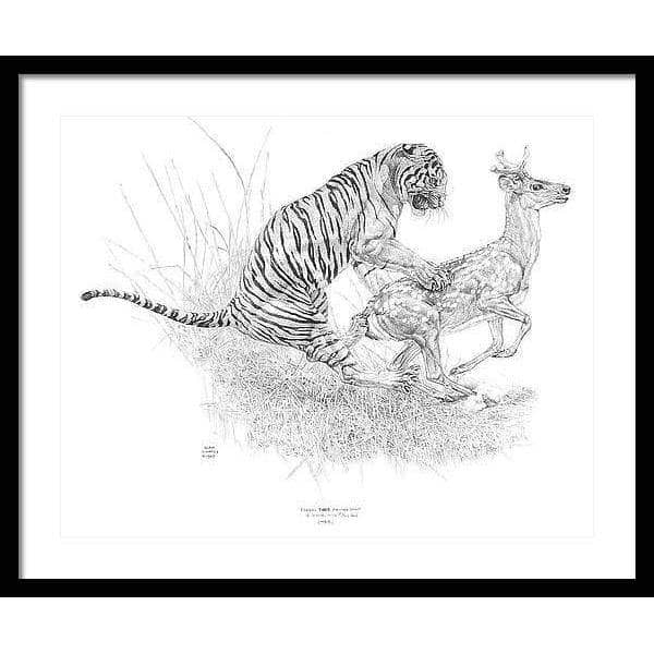 Bengal Tiger Pulling Down a Chital Deer - Framed Print | Artwork by Glen Loates