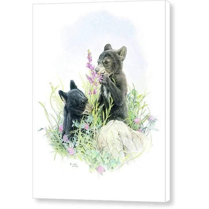 Black Bear Cubs in Grass - Canvas Print | Artwork by Glen Loates