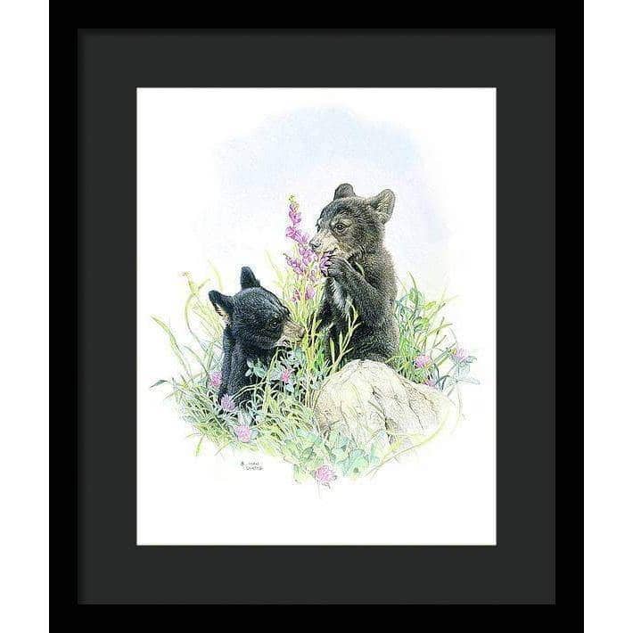 Black Bear Cubs in Grass - Framed Print | Artwork by Glen Loates