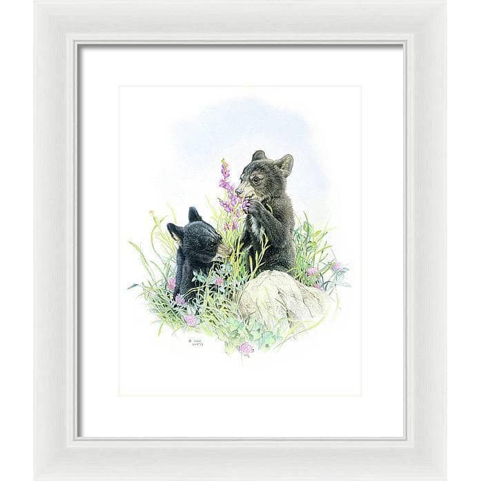Black Bear Cubs in Grass - Framed Print | Artwork by Glen Loates