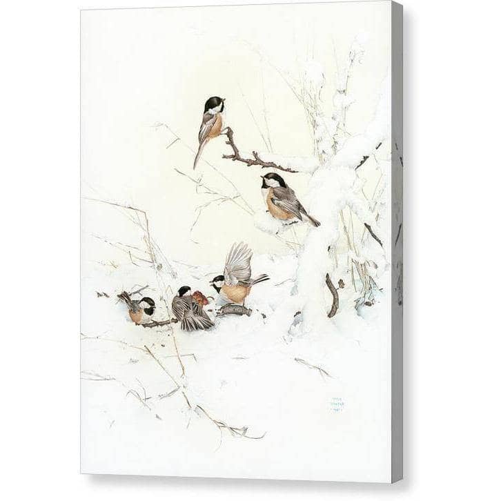 Black-Capped Chickadees - Canvas Print | Artwork by Glen Loates