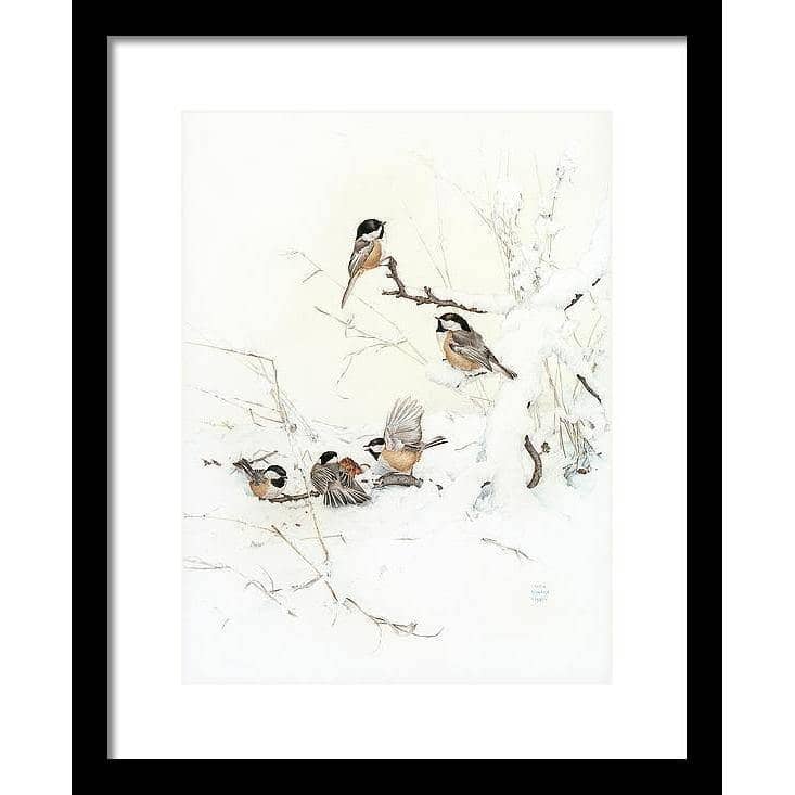 Black-Capped Chickadees - Framed Print | Artwork by Glen Loates