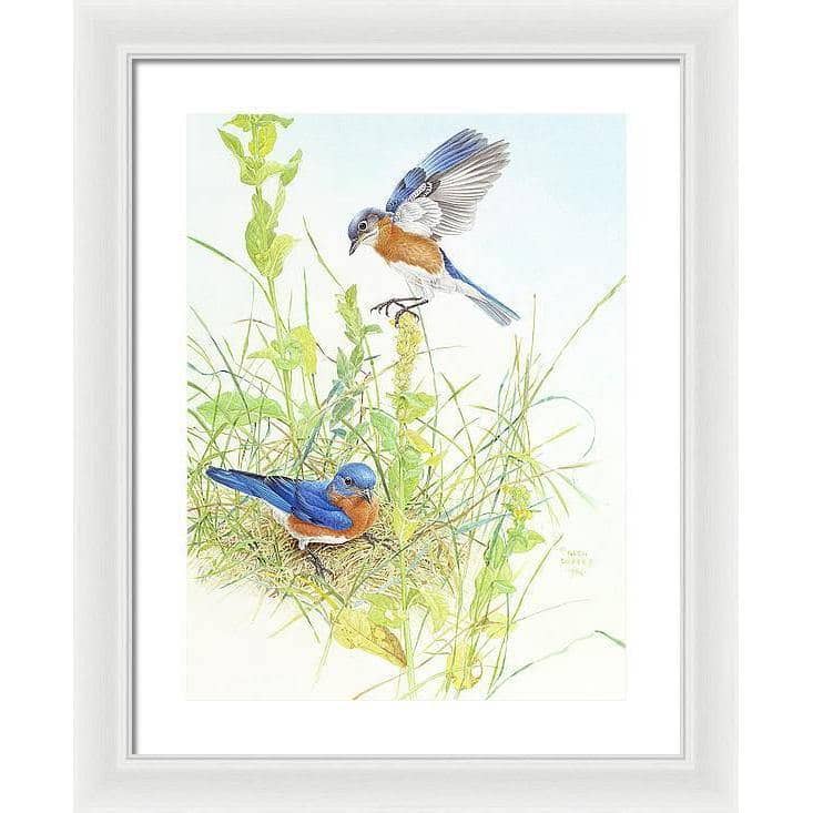 Bluebirds - Framed Print | Artwork by Glen Loates