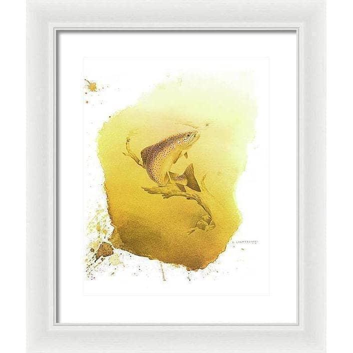 Brown Trout - Framed Print | Artwork by Glen Loates
