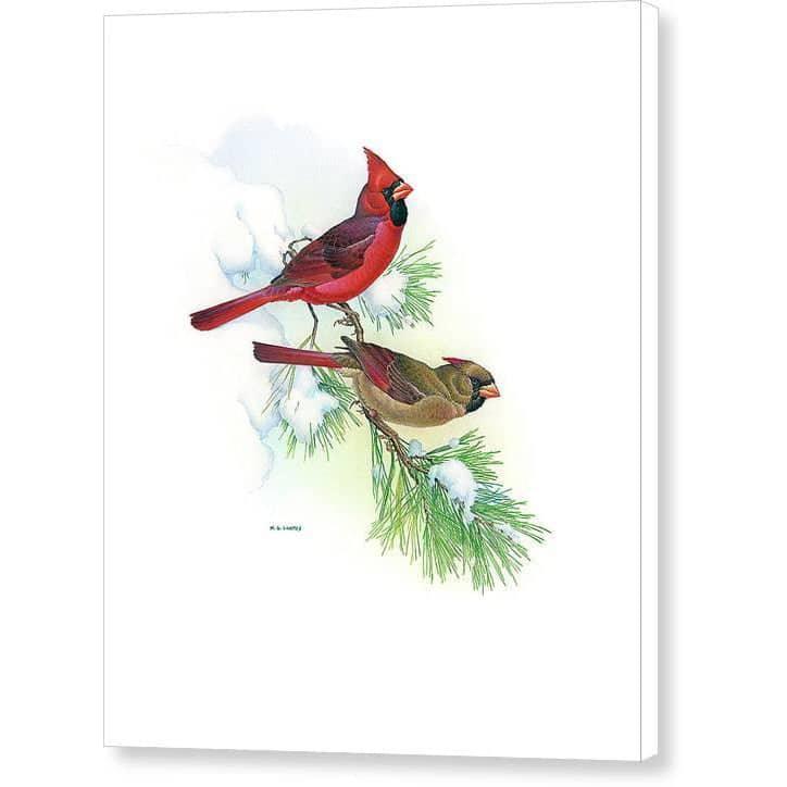 Cardinals - Canvas Print | Artwork by Glen Loates