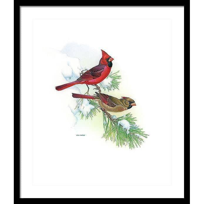 Cardinals - Framed Print | Artwork by Glen Loates