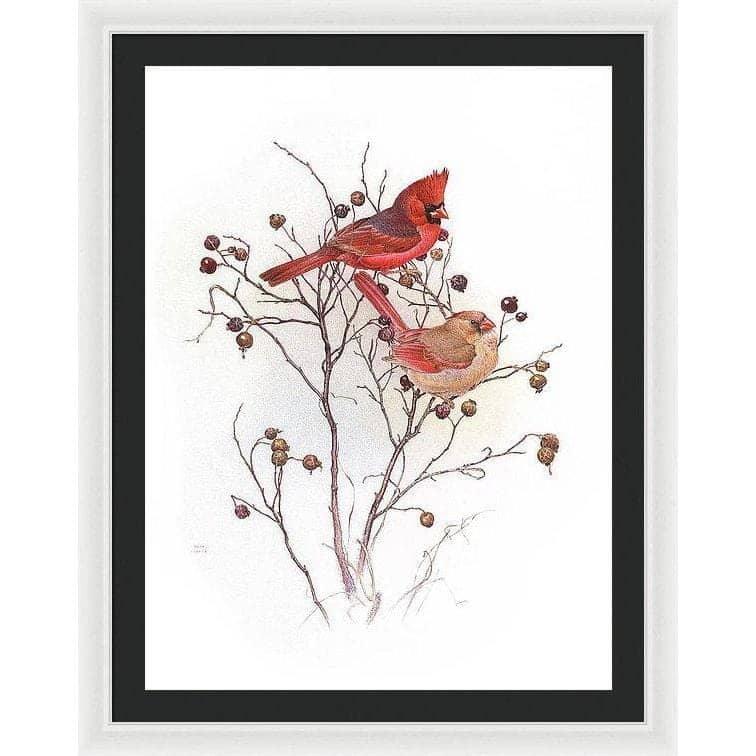 Cardinals on Rosehip Bush - Framed Print | Artwork by Glen Loates