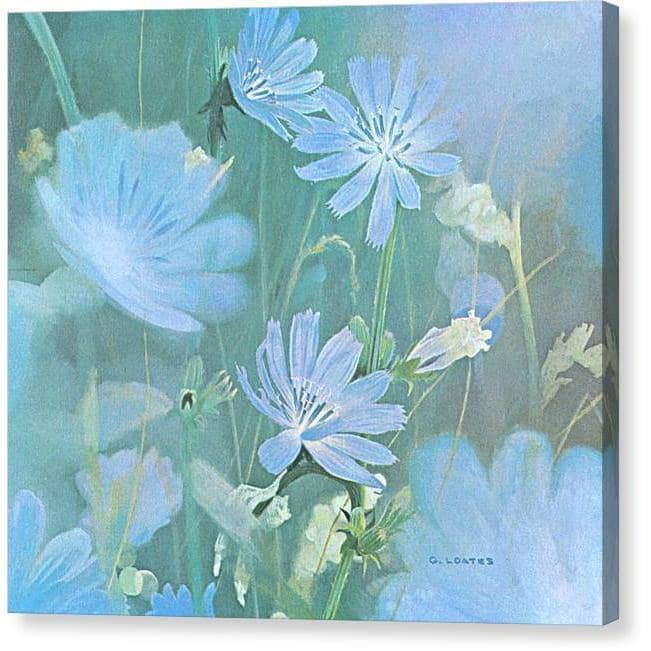 Chicories - Canvas Print | Artwork by Glen Loates