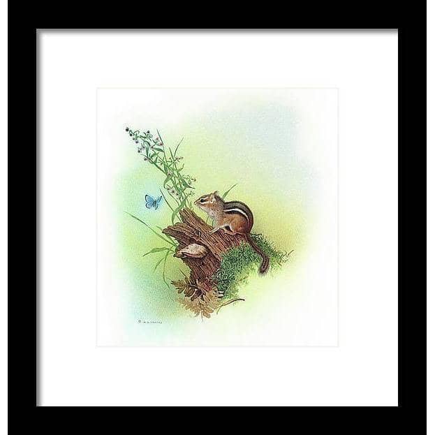 Chipmunk and Woodland Blue Butterfly Enhanced - Framed Print | Artwork by Glen Loates