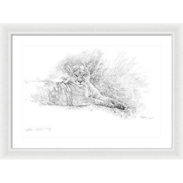 Cougar Basking - Framed Print | Artwork by Glen Loates