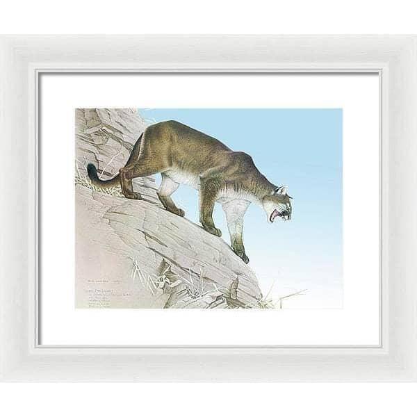 Cougar - Framed Print | Artwork by Glen Loates