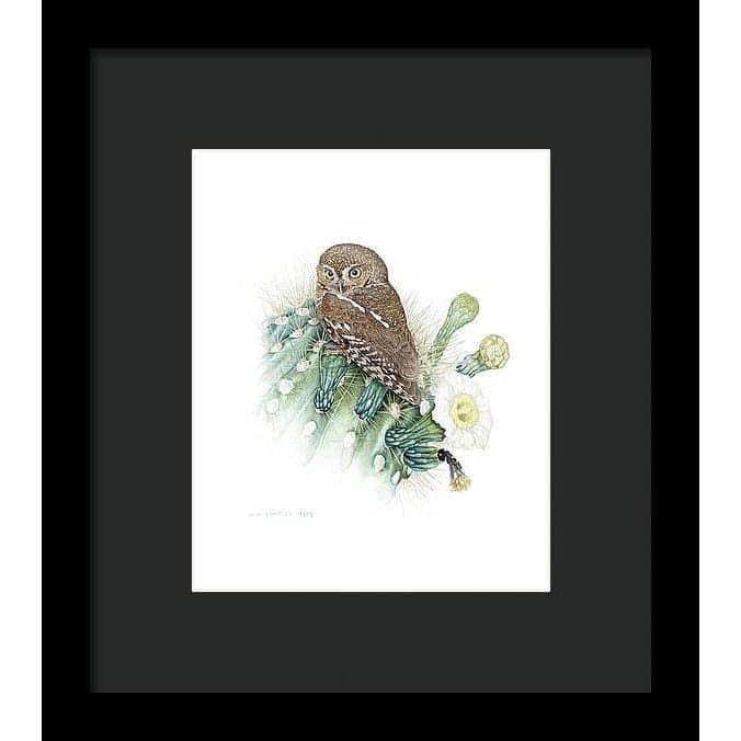 Elf Owl - Framed Print | Artwork by Glen Loates