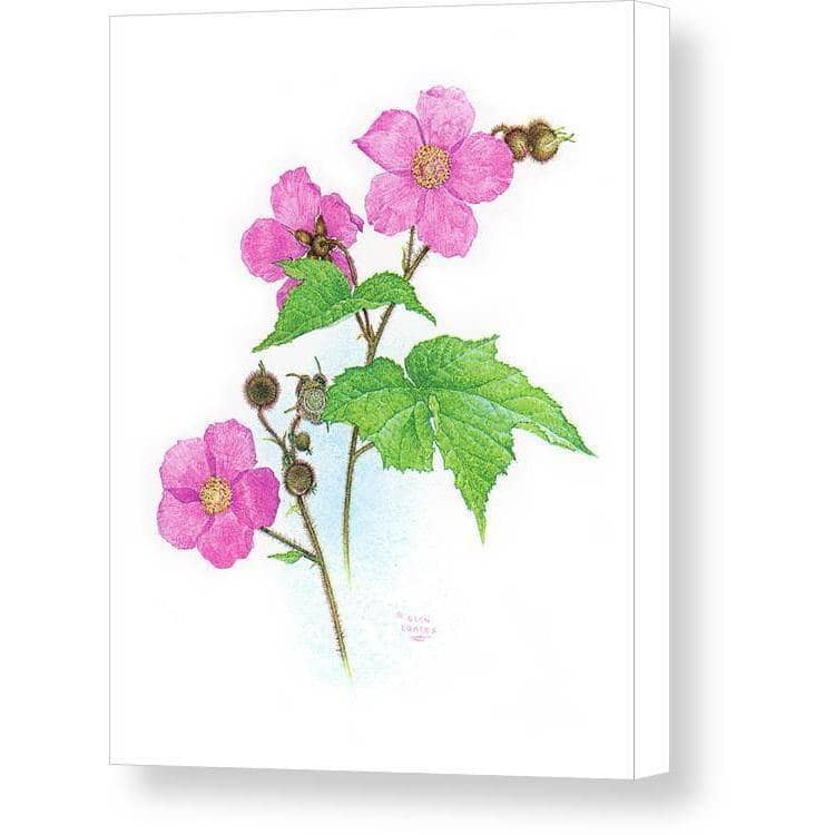 Flowering Raspberry - Canvas Print | Artwork by Glen Loates