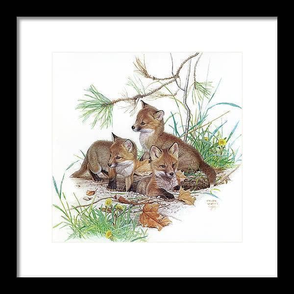 Fox Kits - Framed Print | Artwork by Glen Loates