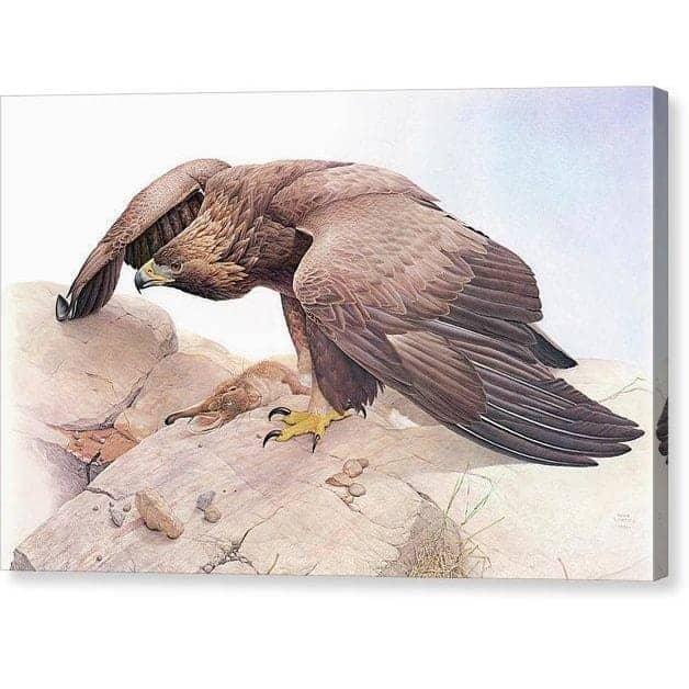 Golden Eagle - Canvas Print | Artwork by Glen Loates