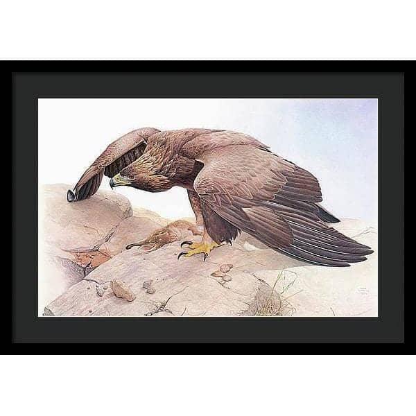 Golden Eagle - Framed Print | Artwork by Glen Loates
