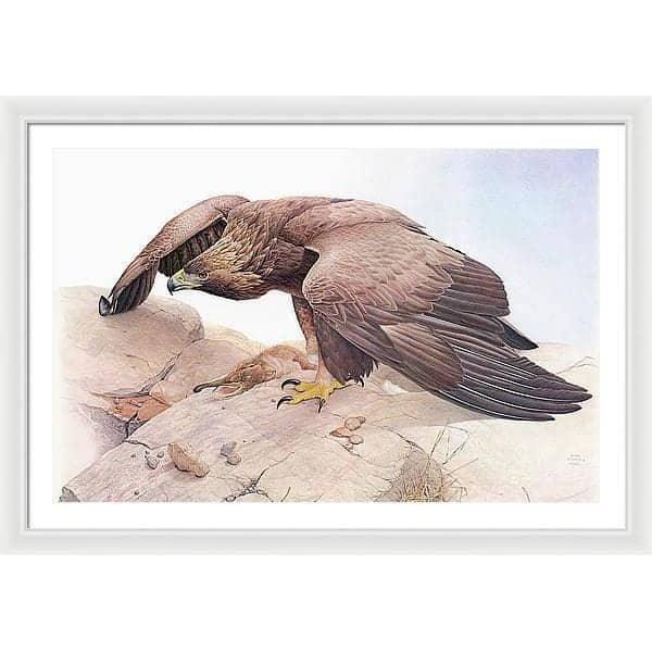 Golden Eagle - Framed Print | Artwork by Glen Loates