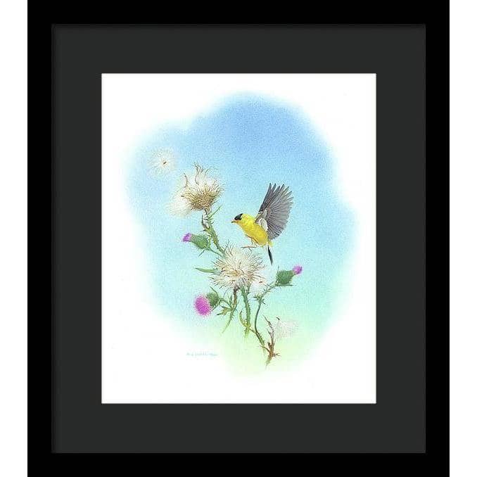 Goldfinch - Framed Print | Artwork by Glen Loates