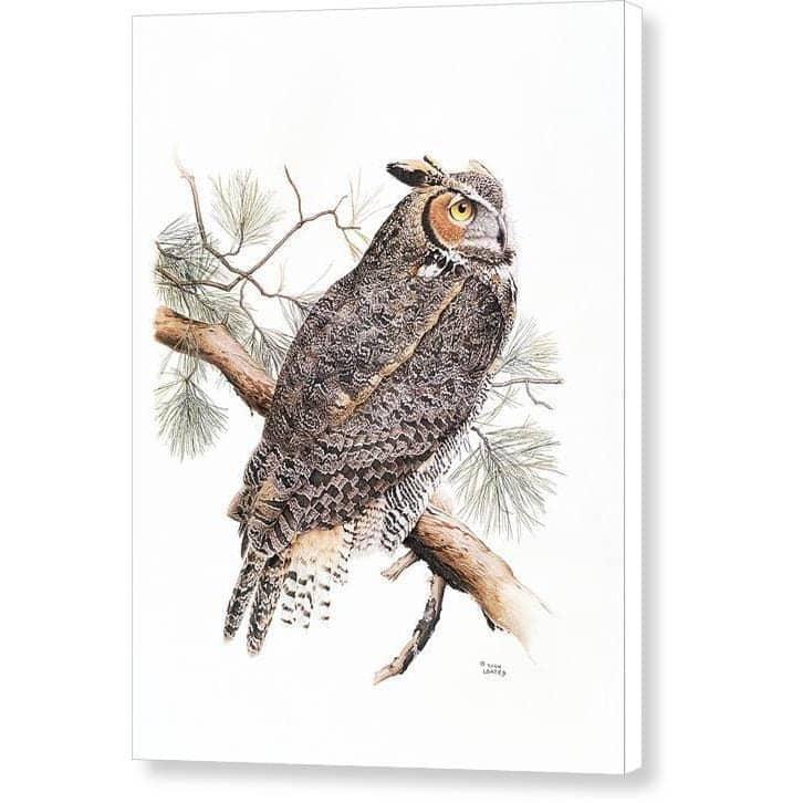 Great-Horned Owl - Canvas Print | Artwork by Glen Loates