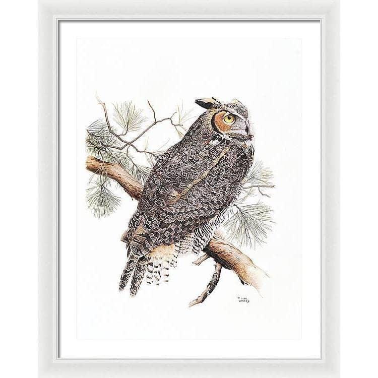 Great-Horned Owl - Framed Print | Artwork by Glen Loates