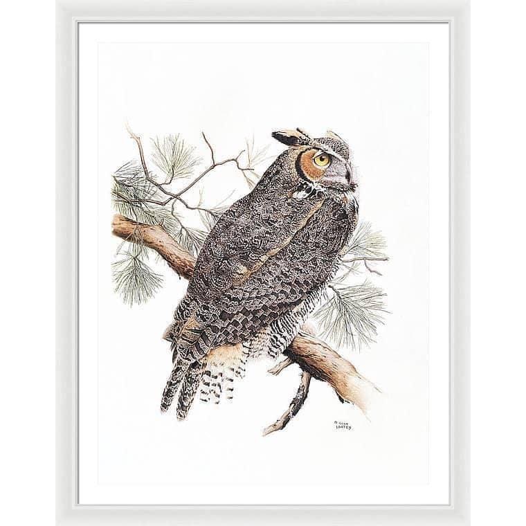 Great-Horned Owl - Framed Print | Artwork by Glen Loates