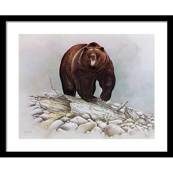 Grizzly Bear - Framed Print | Artwork by Glen Loates