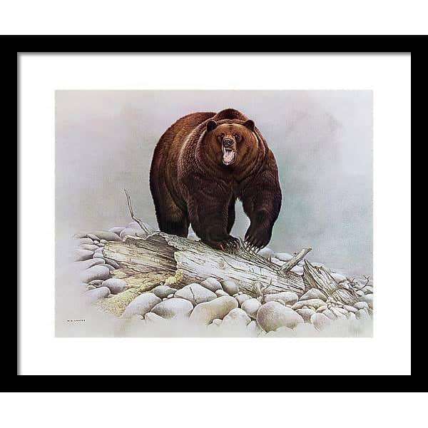 Grizzly Bear - Framed Print | Artwork by Glen Loates