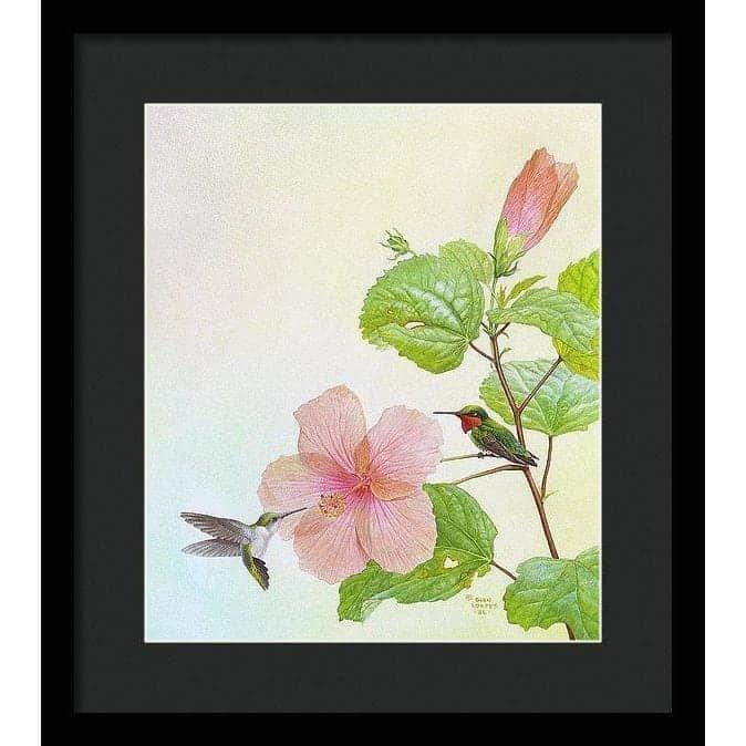 Hummingbirds and Hibiscus - Framed Print | Artwork by Glen Loates