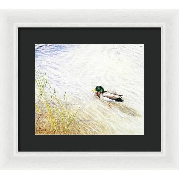 Into The Shallows - Framed Print | Artwork by Glen Loates