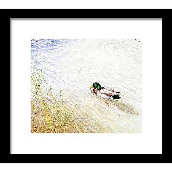 Into The Shallows - Framed Print | Artwork by Glen Loates
