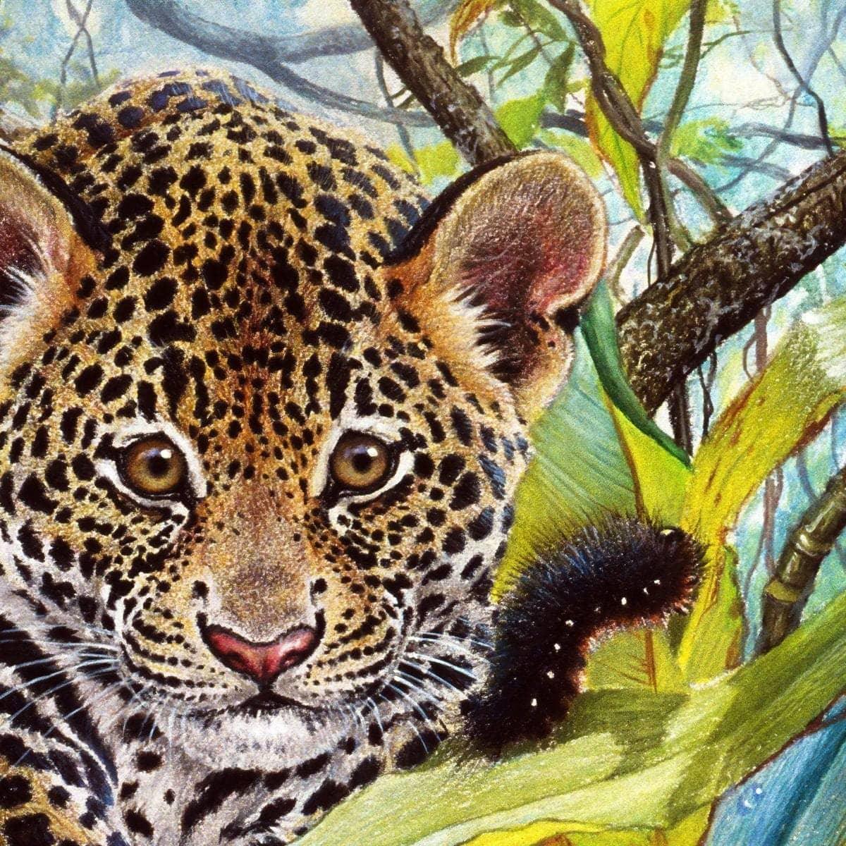 Jaguar Cub - Framed Print | Artwork by Glen Loates