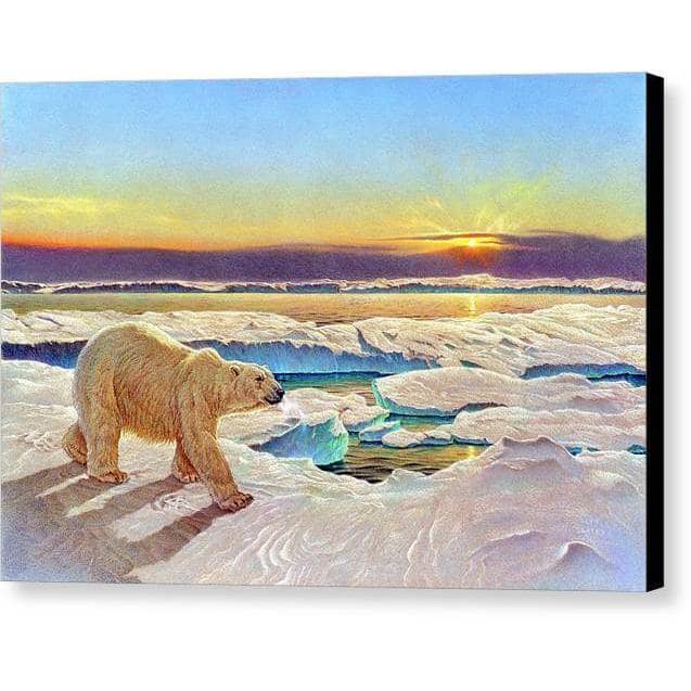 King of the Midnight Sun - Canvas Print | Artwork by Glen Loates