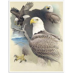 Giclée on Paper