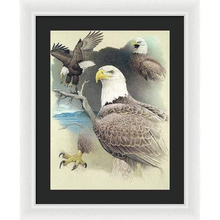 Bald Eagle Montage - Framed Print | Artwork by Glen Loates