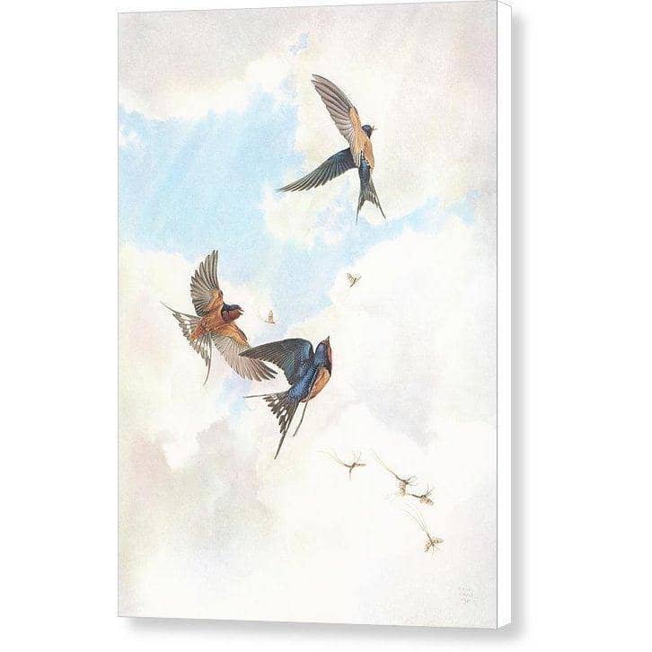 Barn Swallows - Canvas Print | Artwork by Glen Loates