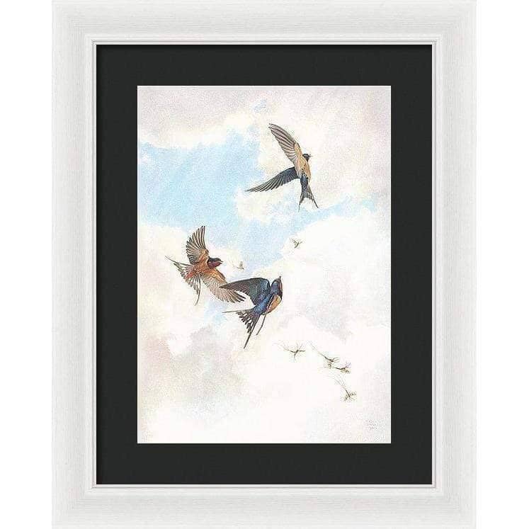 Barn Swallows - Framed Print | Artwork by Glen Loates