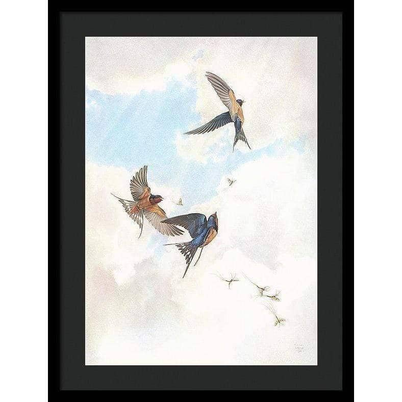Barn Swallows - Framed Print | Artwork by Glen Loates