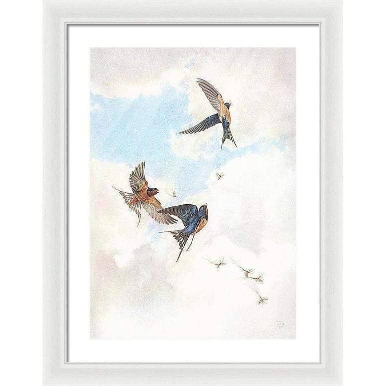 Barn Swallows - Framed Print | Artwork by Glen Loates