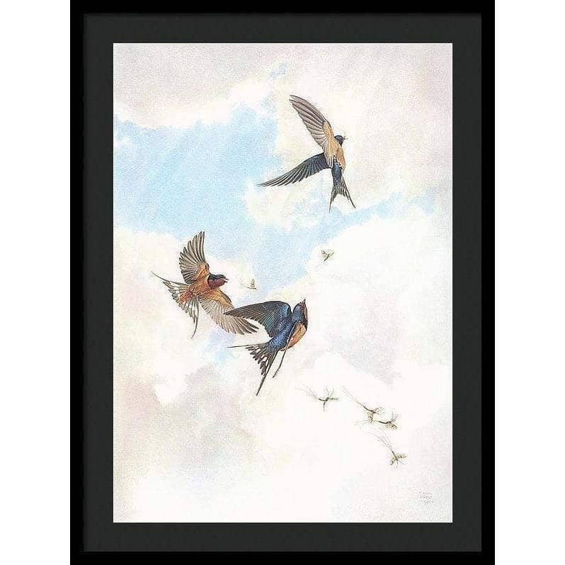 Barn Swallows - Framed Print | Artwork by Glen Loates