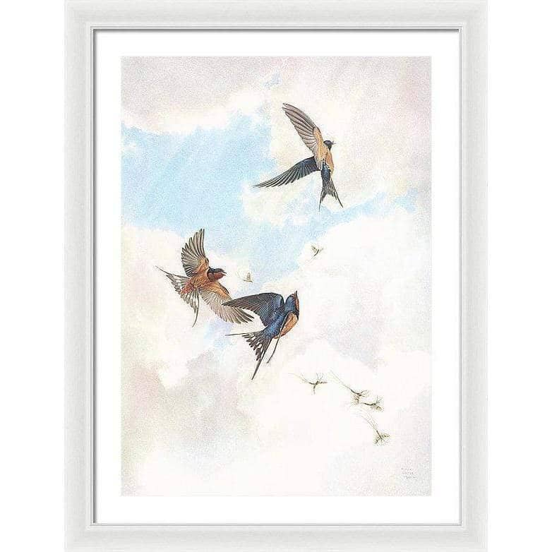 Barn Swallows - Framed Print | Artwork by Glen Loates