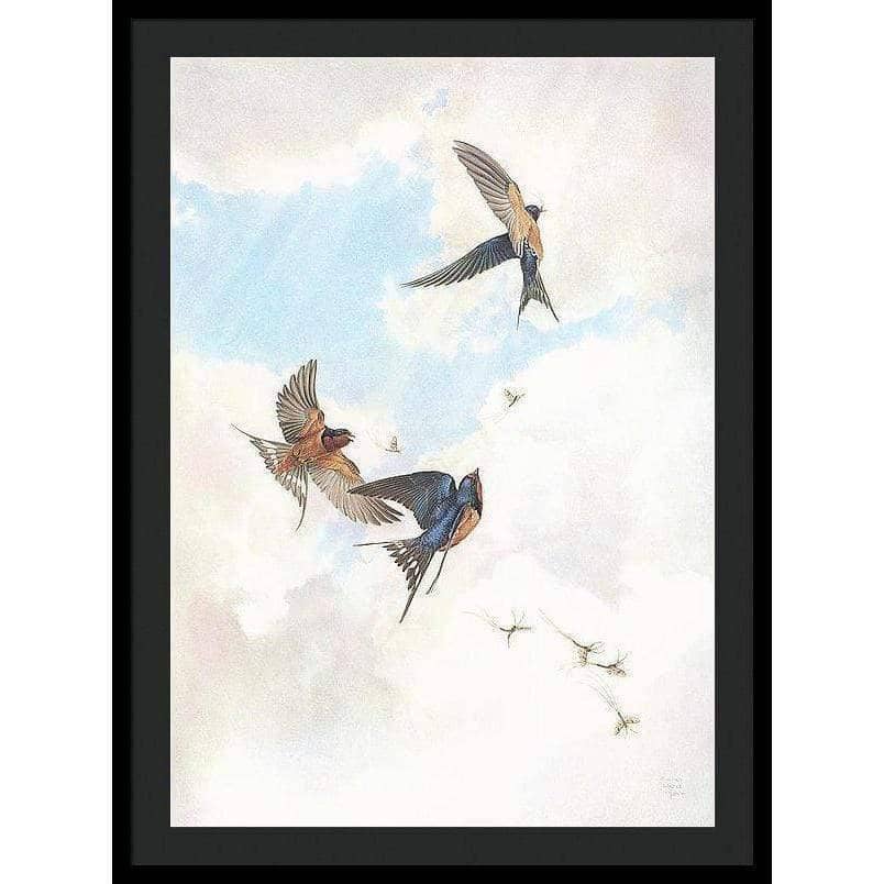 Barn Swallows - Framed Print | Artwork by Glen Loates