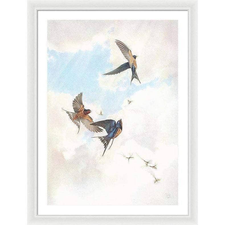 Barn Swallows - Framed Print | Artwork by Glen Loates