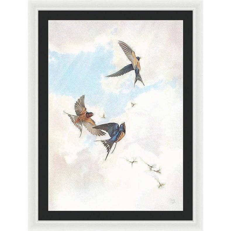 Barn Swallows - Framed Print | Artwork by Glen Loates