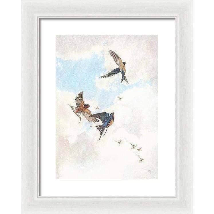Barn Swallows - Framed Print | Artwork by Glen Loates