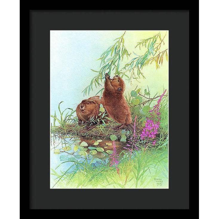 Beavers - Framed Print | Artwork by Glen Loates